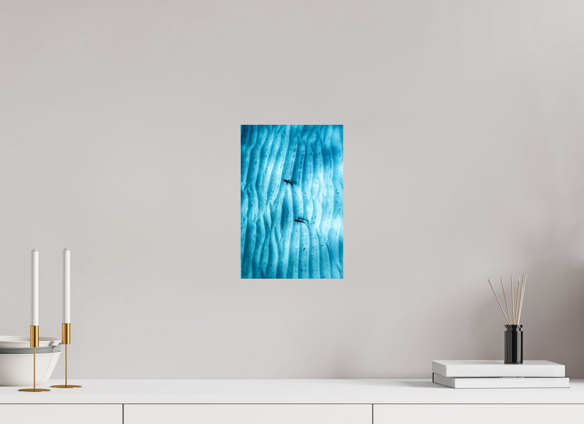 Juvenile Grey Sharks