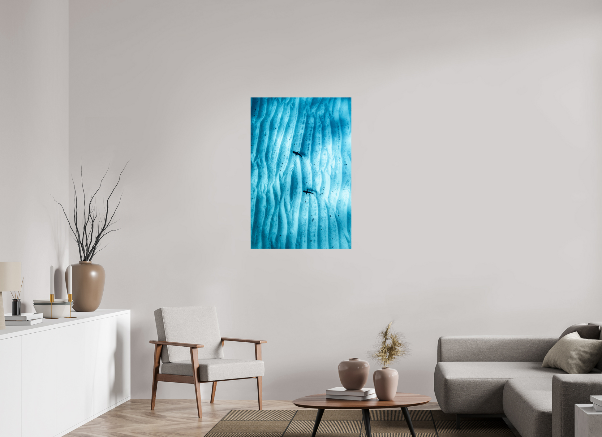 Juvenile Grey Sharks