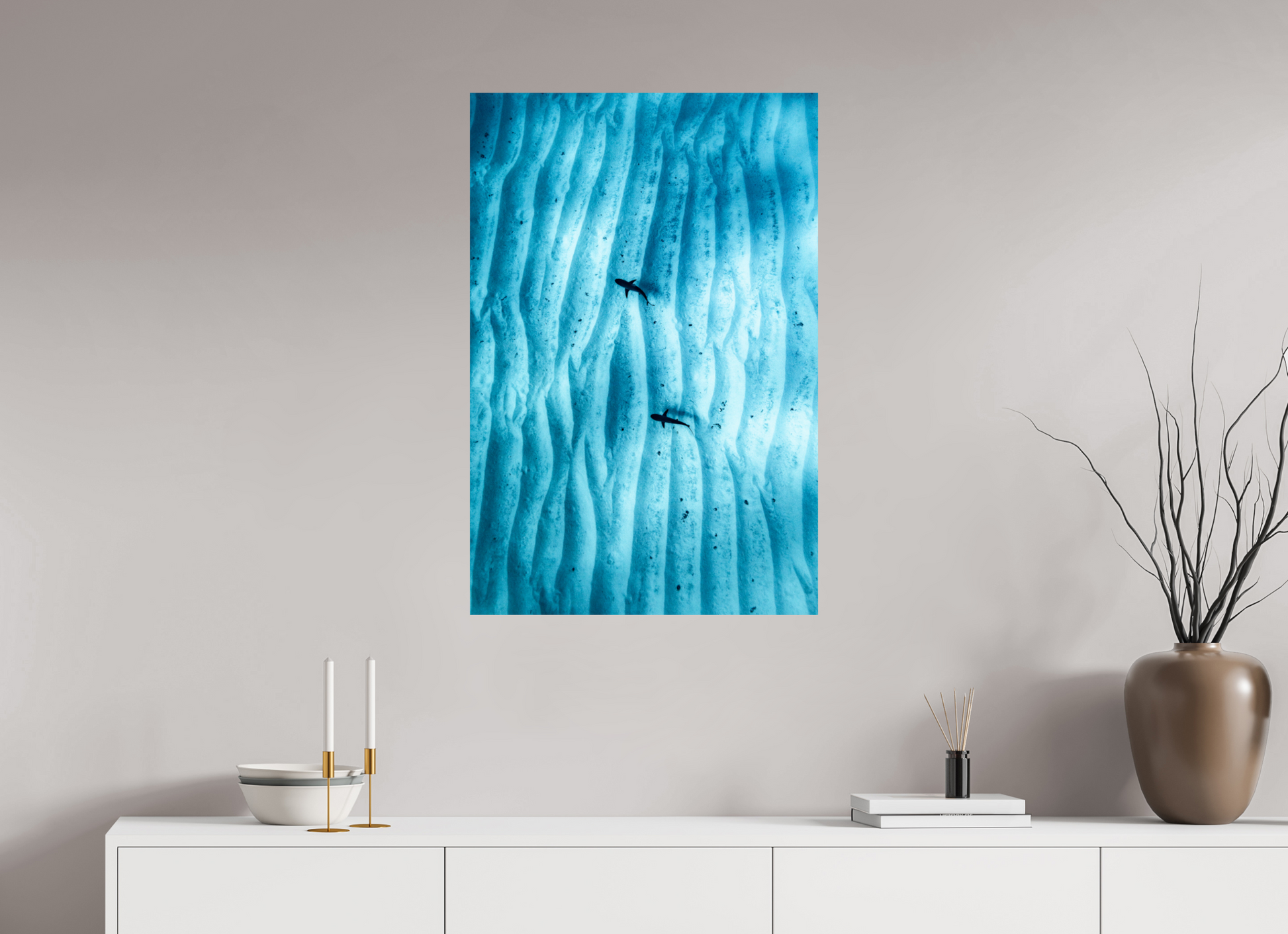 Juvenile Grey Sharks