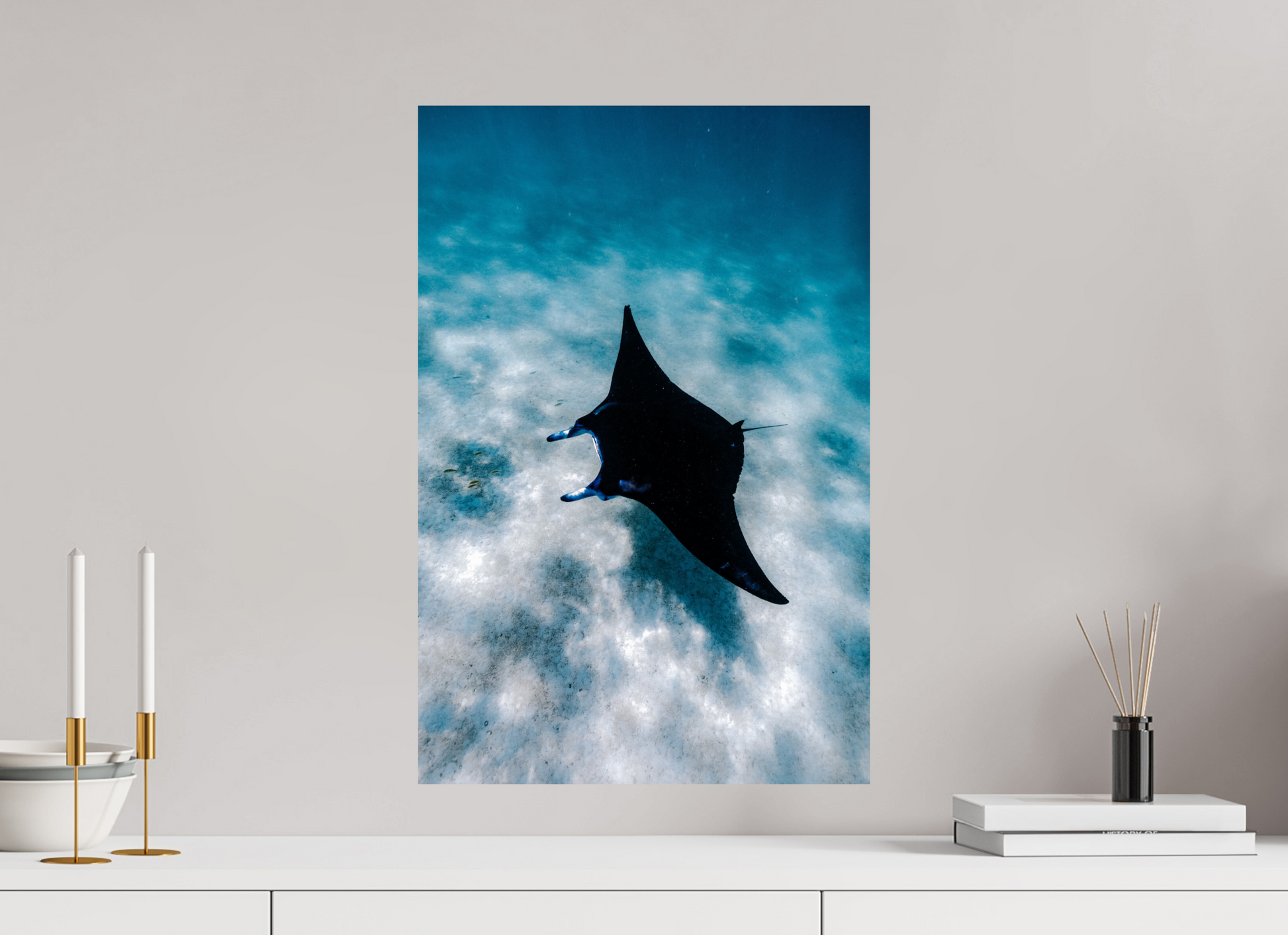 Manta Ray
