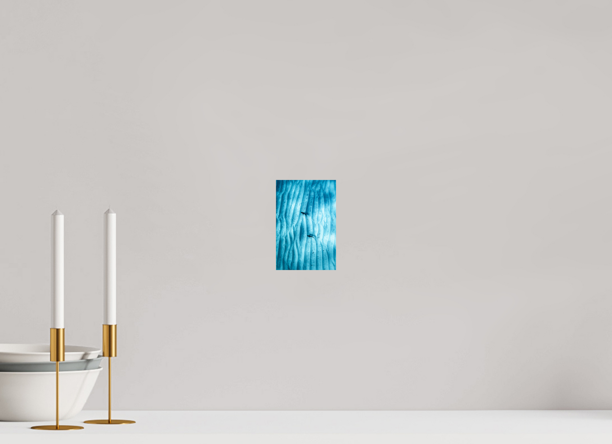 Juvenile Grey Sharks