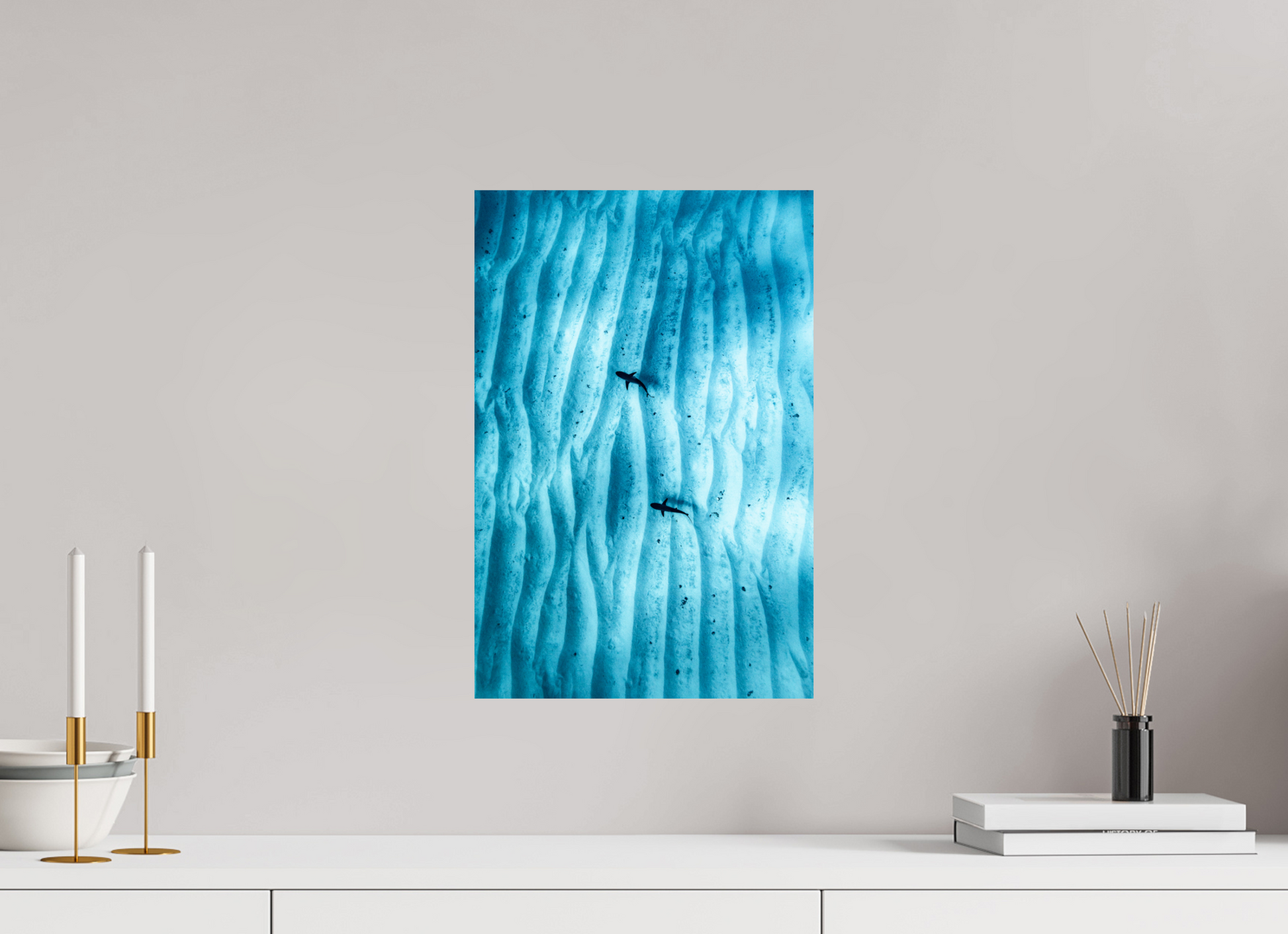 Juvenile Grey Sharks