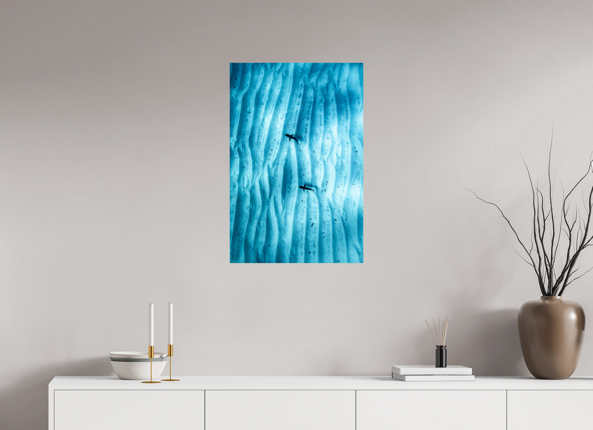 Juvenile Grey Sharks