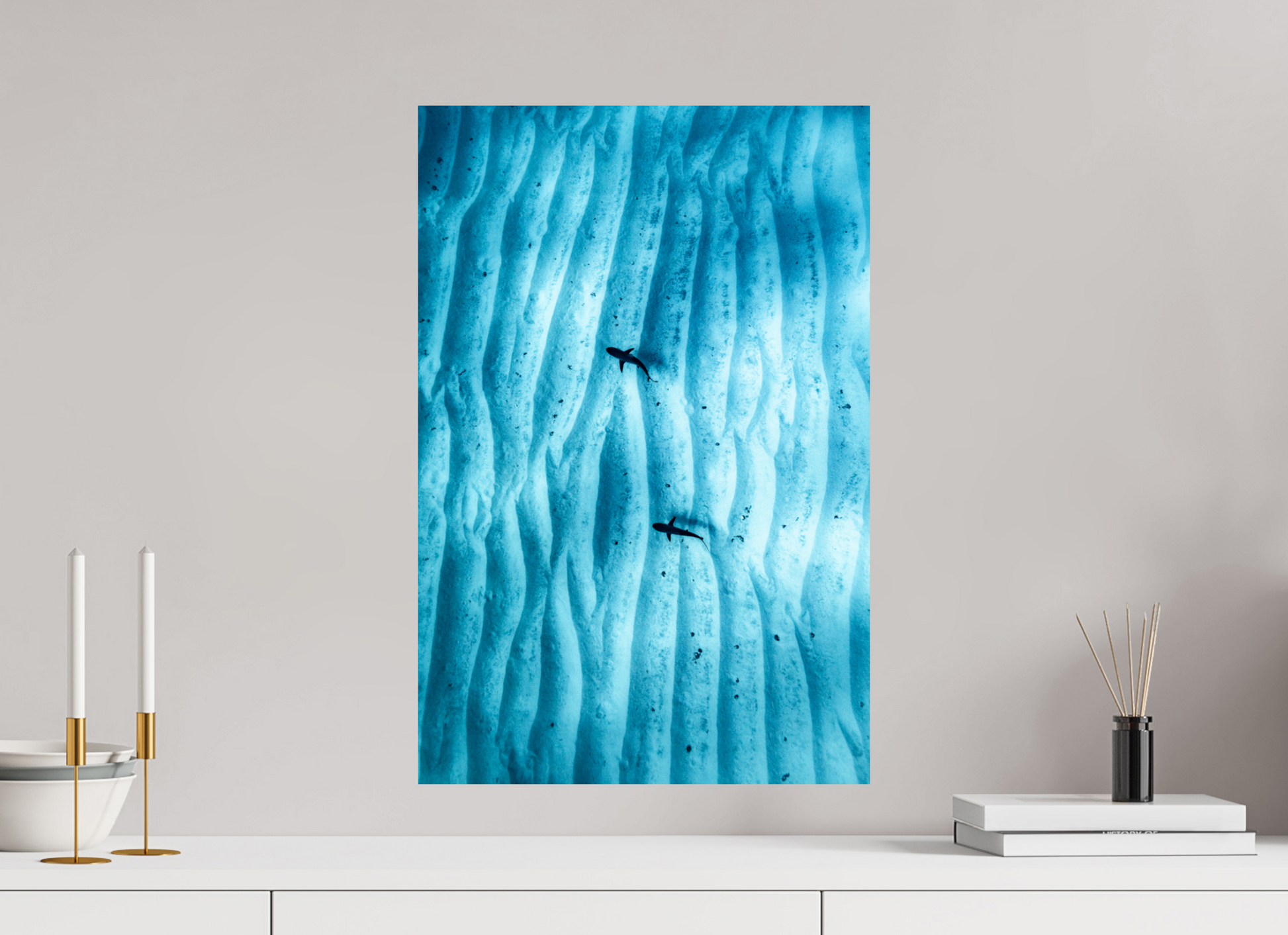 Juvenile Grey Sharks