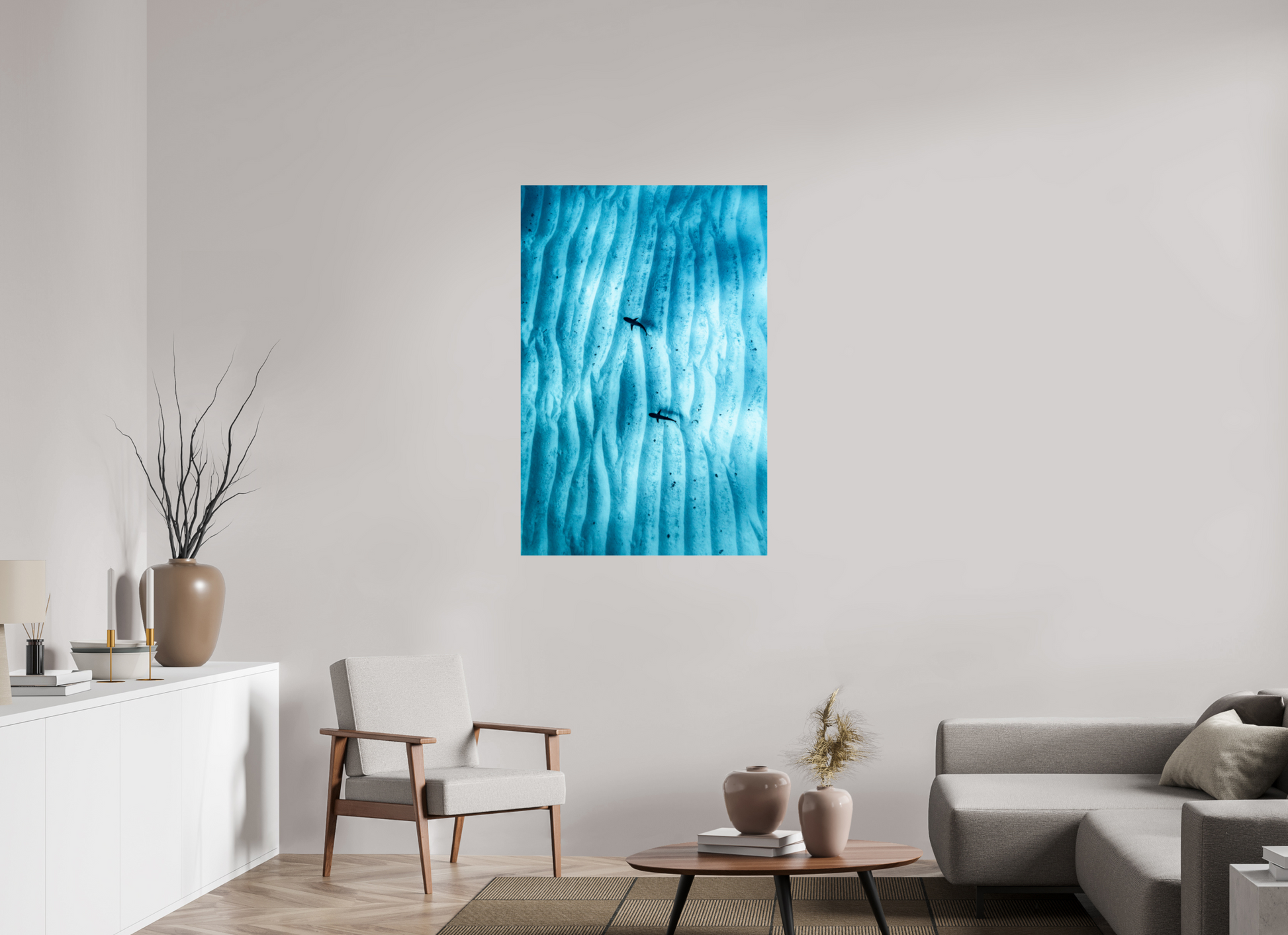 Juvenile Grey Sharks